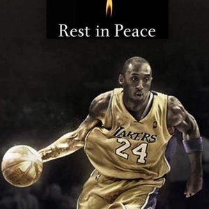 Meet your Posher, Ronaldo